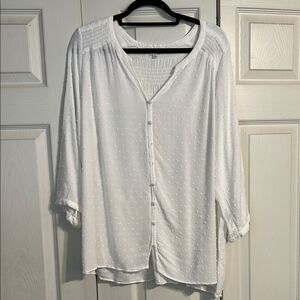 ROSE & OLIVE Size 1X Cream Blouse Smocked Swiss Dot V-Neck Gauzy Semi-Sheer